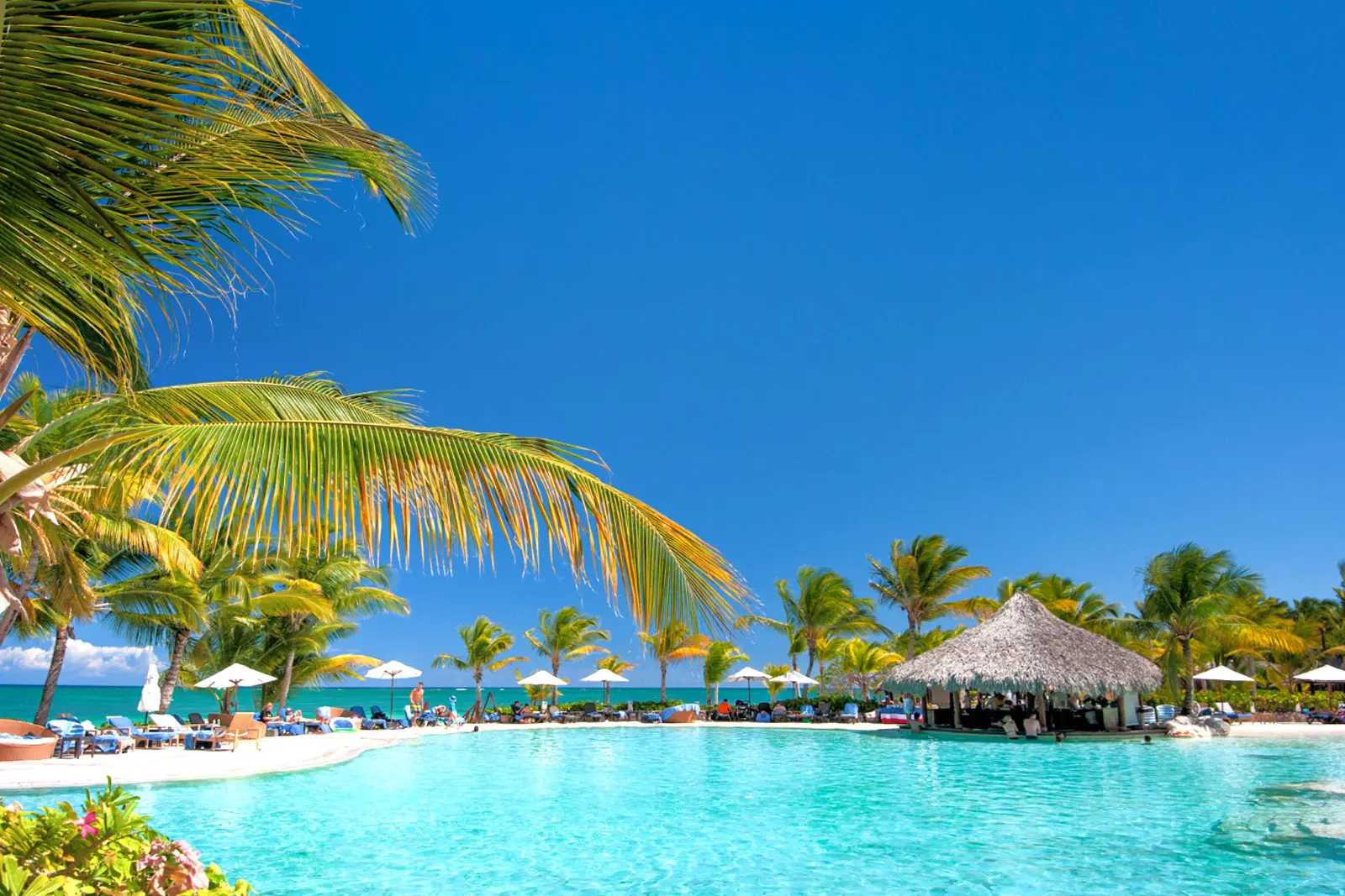 tours a republica dominicana